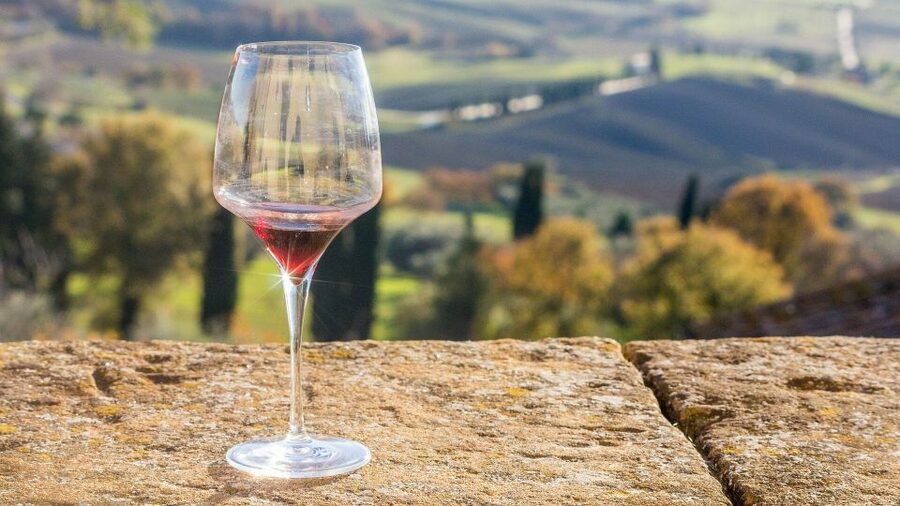 Langhe: Winery Tour and Wine Tasting - Who should book this La Morra wine tour?