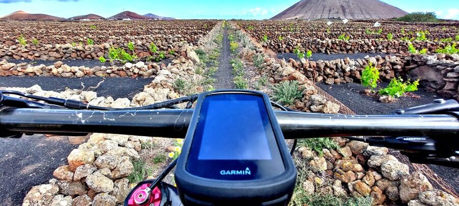 Lanzarote E-Bike Tour: Volcano Craters & Scenic Vineyards - La Geria’s vineyards and circular planting pits