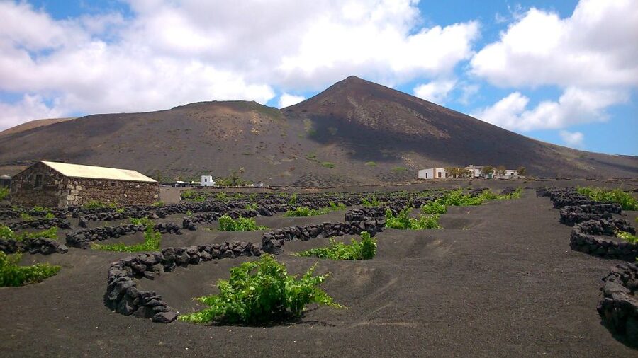 Lanzarote: La Geria Vineyards Hiking Tour - Climbing toward Lanzarote’s third-highest point