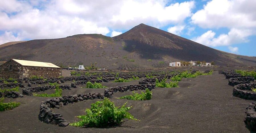 Lanzarote: La Geria Vineyards Hiking Tour - Guides, languages, and group size