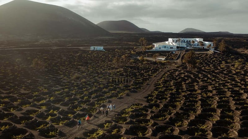 Lanzarote: Sunset vineyard tour with wine and chocolate tasting - Key points to know before booking