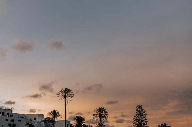 Lanzarote: Sunset vineyard tour with wine and chocolate tasting - Who should book this Finca Testeina experience?