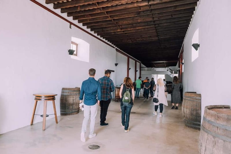 Lanzarote: Sunset vineyard tour with wine and chocolate tasting - Final verdict: book it for sunset, setting, and a taste of local wine