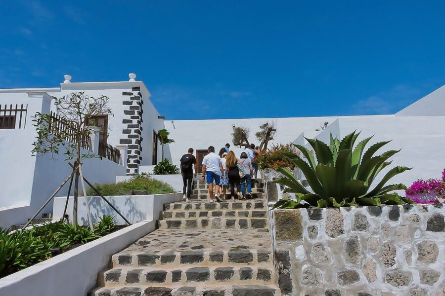 Lanzarote: Vineyard Tour with Wine and Chocolate Tasting - Finca Testeina and Lanzarote’s black vineyards