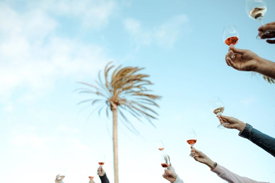 Lanzarote: Vineyard Tour with Wine and Chocolate Tasting - Is $28 good value?