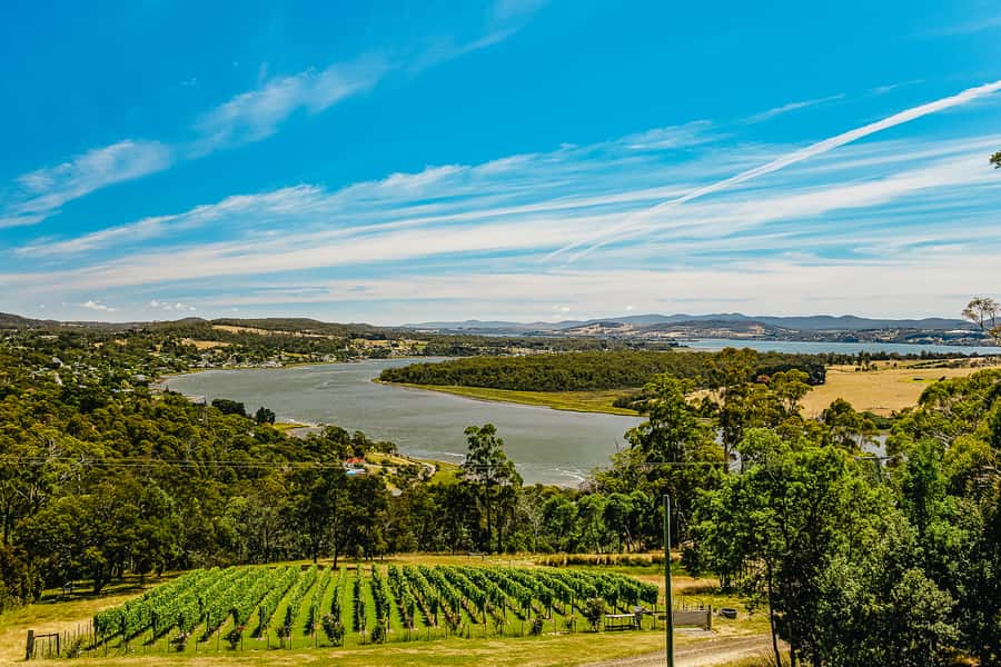 Launceston: Tamar Valley Wine Tour with Lunch - Key points at a glance