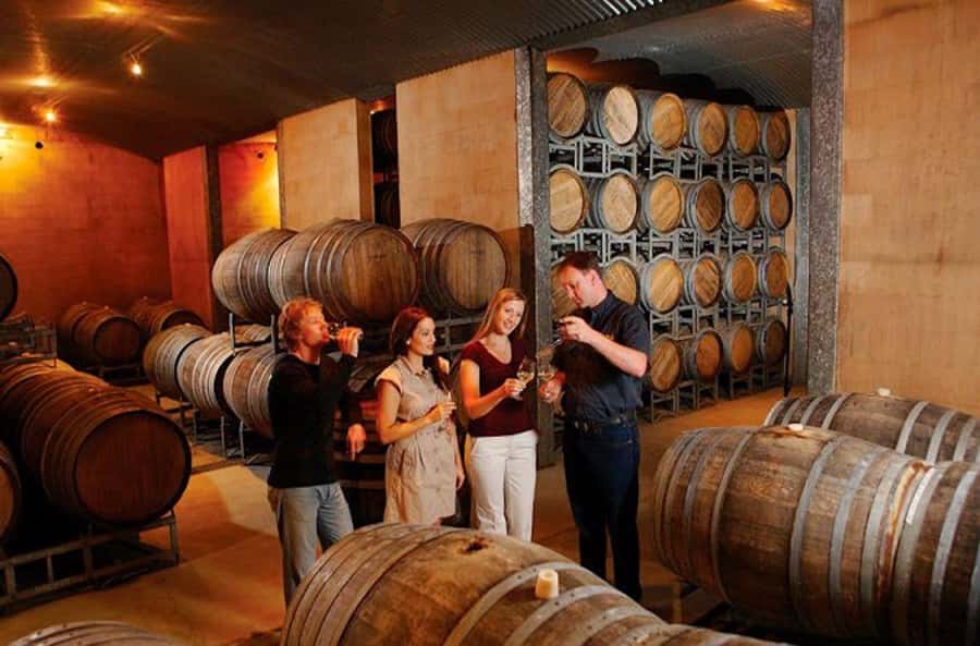 Launceston: Tamar Valley Wine Tour with Lunch - Four different cellar doors, not four copies of the same stop