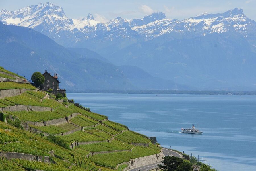 Lausanne: 2-Hour Lake Geneva Cruise Along Lavaux Vineyards - Key points to know before boarding