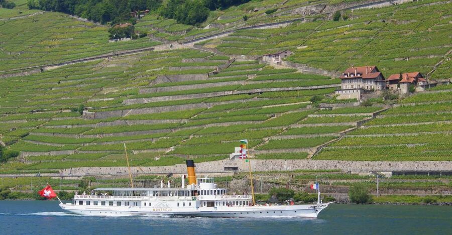 Lausanne: 2-Hour Lake Geneva Cruise Along Lavaux Vineyards - Who will enjoy this cruise most?