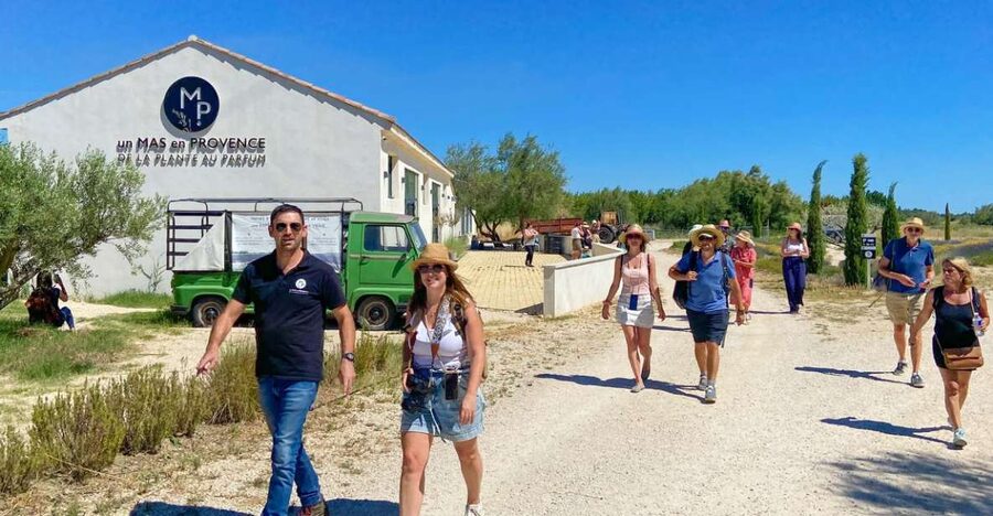 Lavender Field & Distillery Tour between Nimes & Arles - The perfume bar turns scent into a lesson