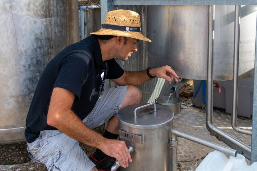 Lavender Field & Distillery Tour between Nimes & Arles - The boutique is part of the experience