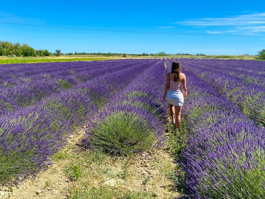 Lavender Field & Distillery Tour between Nimes & Arles - Choosing the right time and language