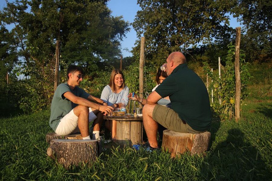 Lazise: Beekeeping Farm Tour and Tasting Experience - Hearing the bees at a farm near Lake Garda