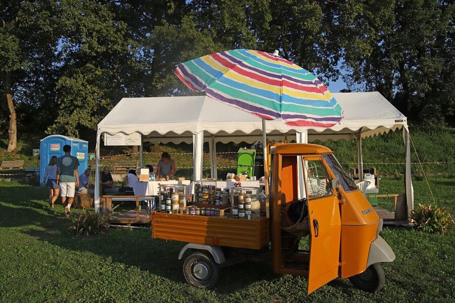 Lazise: Beekeeping Farm Tour and Tasting Experience - Walking among fruit, vegetables, and herbs