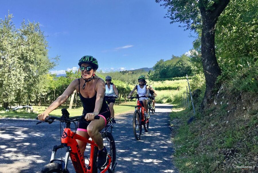 Lazise: Bike Tour and Wine Tasting - What the E-Bike Changes