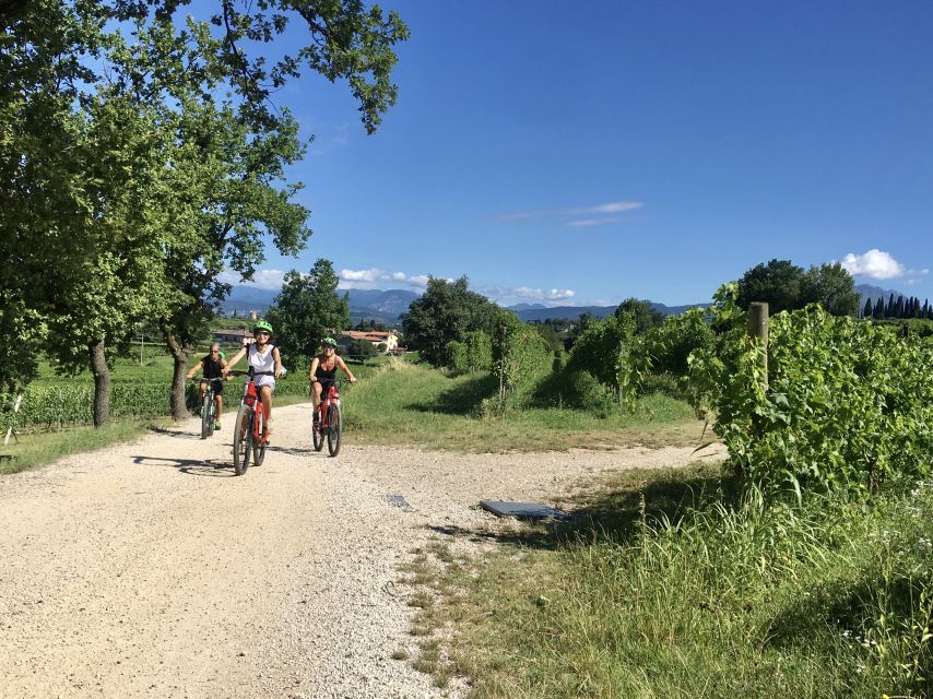 Lazise: Bike Tour and Wine Tasting - A Ride That Works for Mixed Fitness Levels
