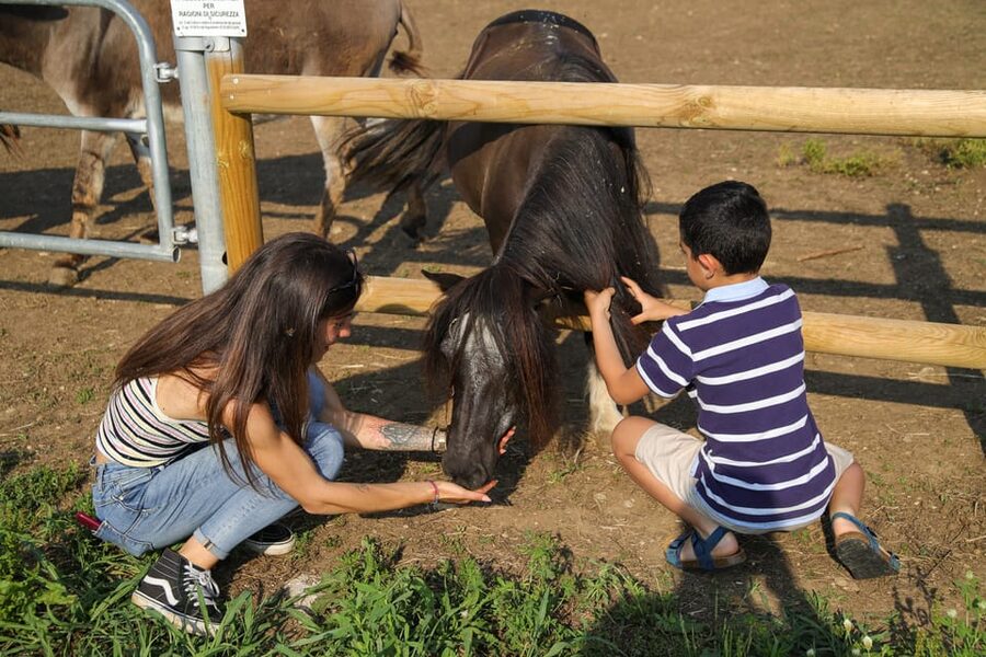 Lazise: Biodynamic Farm Tour and Natural Wine Tasting - A farm visit with wine at its center
