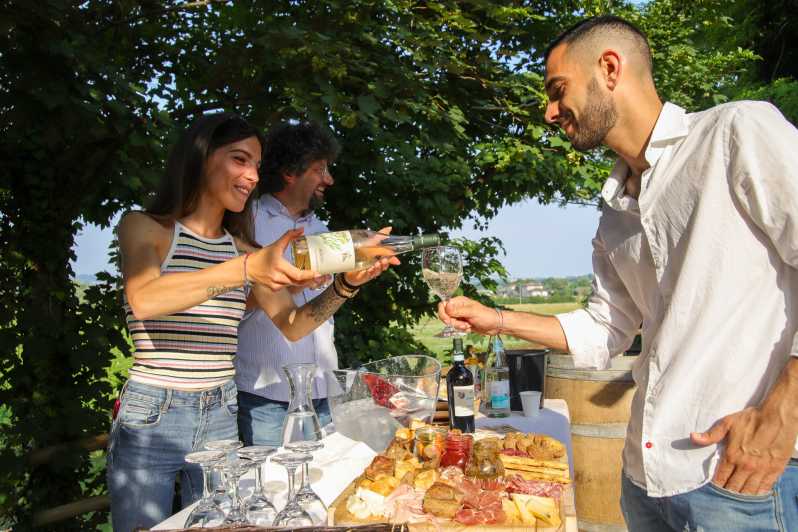Lazise: Biodynamic Farm Tour and Natural Wine Tasting - Inside the cellar and the natural-wine tasting