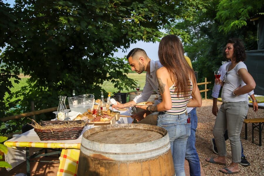 Lazise: Biodynamic Farm Tour and Natural Wine Tasting - The terrace finish above the vineyards