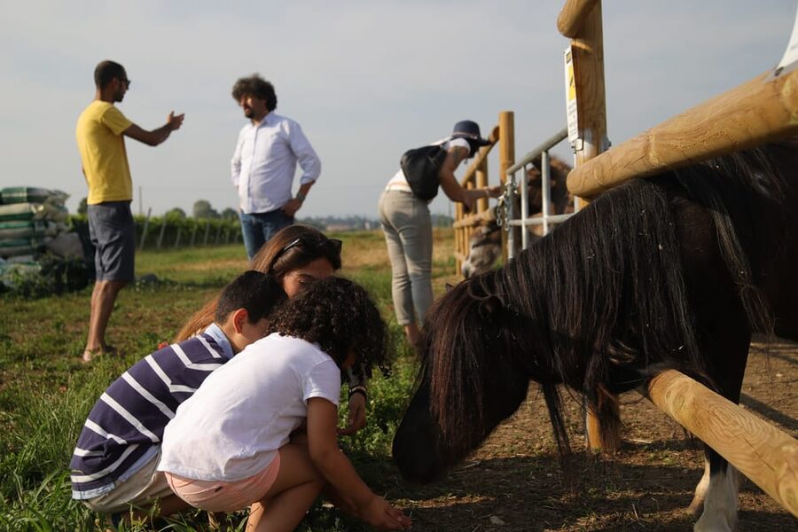 Lazise: Biodynamic Farm Tour and Natural Wine Tasting - Who will enjoy this farm and wine experience?