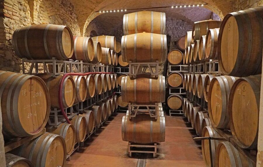 Lazise: Historical Center Wine Tasting Tour - Should you book the ZF4 Cellar tasting?