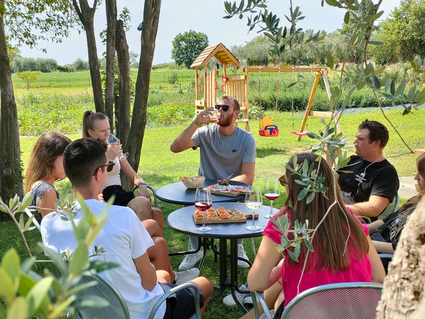 Lazise: Wine Tasting with Charcuterie and Cheese Board - Arriving among vineyards, olive trees and garden beds