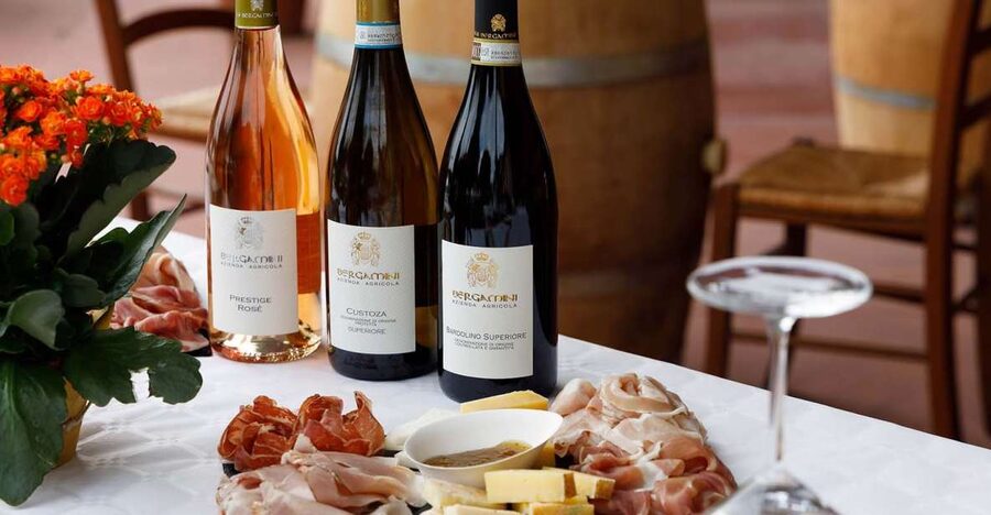 Lazise: Winery Tour with Garda Wines and Food Tasting - Key points at a glance