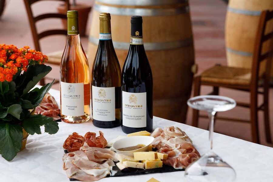 Lazise: Winery Tour with Garda Wines and Food Tasting - Starting at Bergamini Vini near Lazise