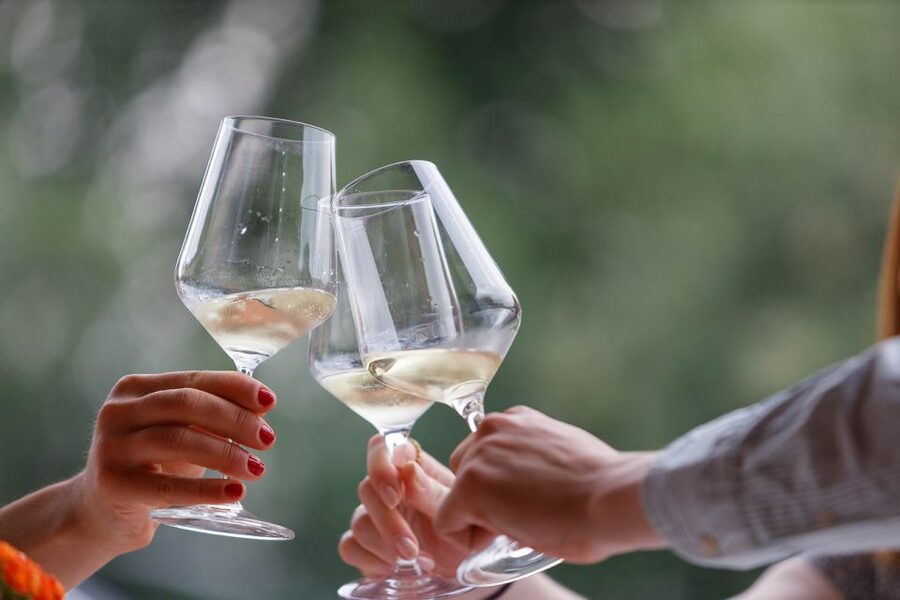 Lazise: Winery Tour with Garda Wines and Food Tasting - Seeing fermentation and aging in the cellar