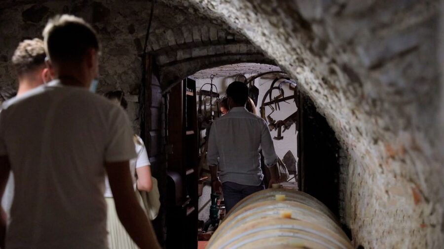 Lazise: Winery Tour with Garda Wines and Food Tasting - Timing, access, and practical details