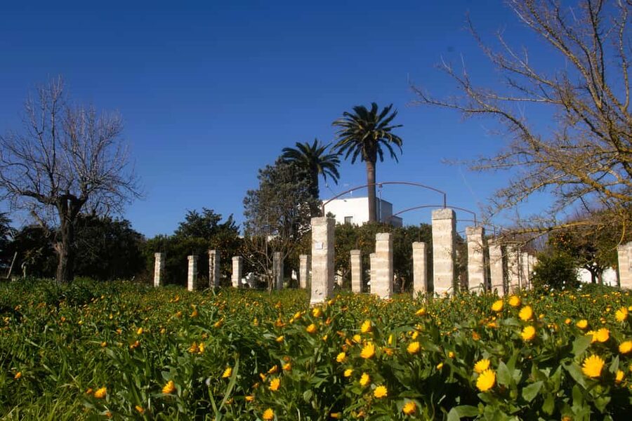 Lecce: Countryside Vineyard Walk & Wine Tasting - The old wine-making room