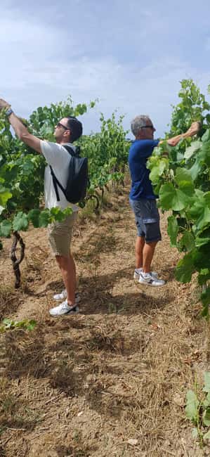 Lecce: Countryside Vineyard Walk & Wine Tasting - Giorgia, Francesco, and the personal scale
