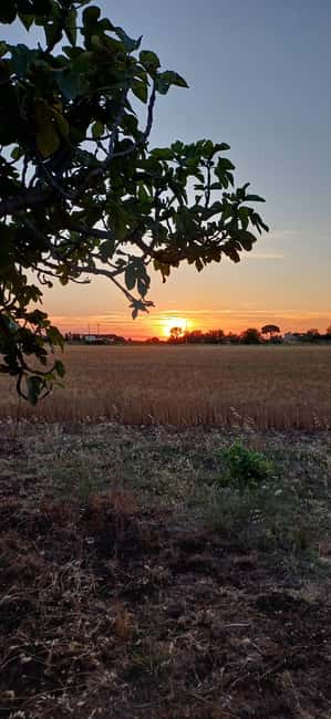 Lecce: Countryside Vineyard Walk & Wine Tasting - Who will enjoy this visit most