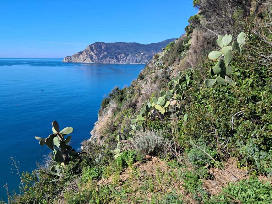 Lemon tour with Limoncino and Wine tasting in Vernazza (Cinque Terre) - A short walk with a very good payoff