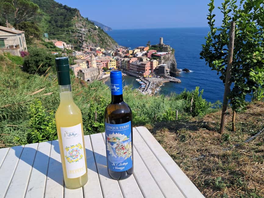Lemon tour with Limoncino and Wine tasting in Vernazza (Cinque Terre) - Why the terraces matter to the tasting