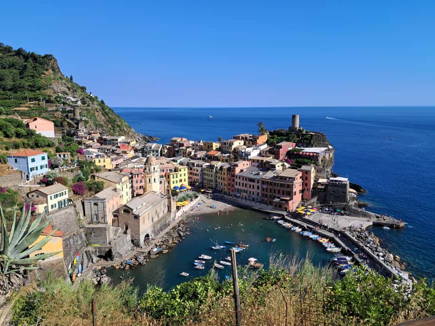 Lemon tour with Limoncino and Wine tasting in Vernazza (Cinque Terre) - What you taste at the table