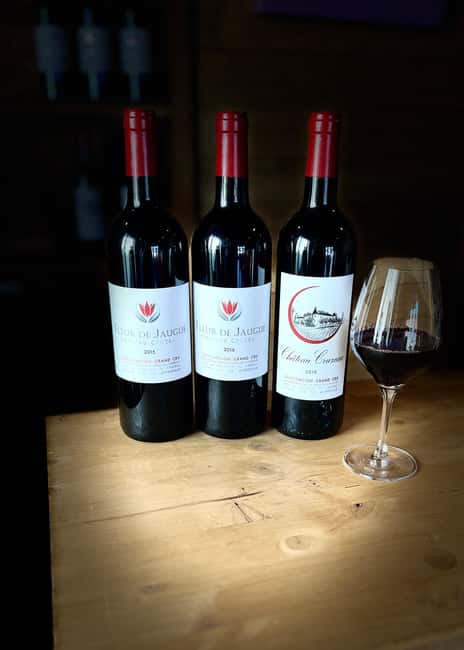Libourne: Winery Tour with Wine and Chocolate Tasting - See the barrel cellar before the tasting