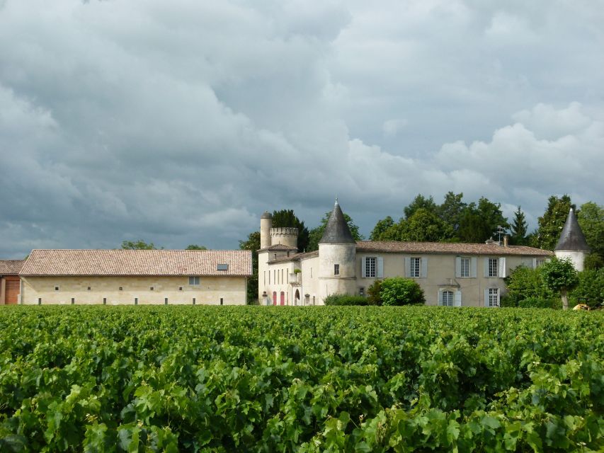 Libourne: Winery Tour with Wine and Chocolate Tasting - Three wines, three chocolates, and a useful tasting lesson