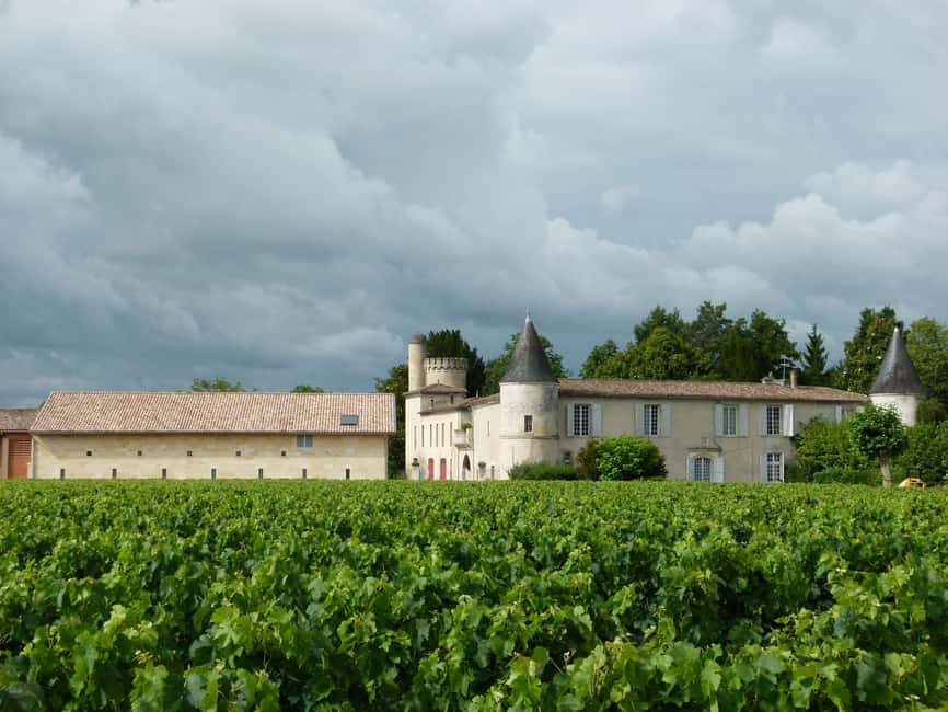 Libourne: Winery Tour with Wine and Chocolate Tasting - Start in the vineyard, where the wine begins