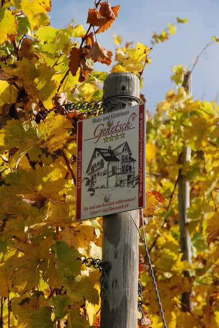 Lieser: Covered wagon ride, the rolling wine tasting with picnic basket - Price, timing, and value at $62