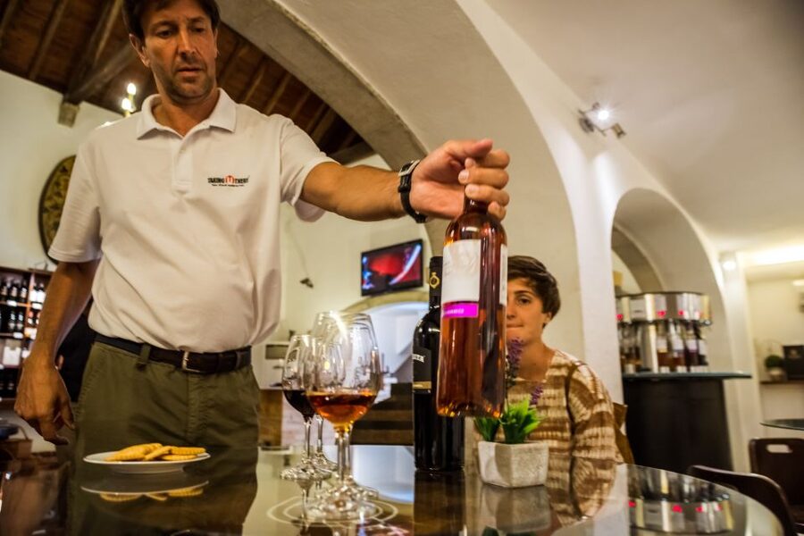 Lisbon Private Setúbal Region Wine Tasting Tour - Key things to know before booking