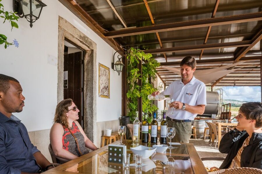 Lisbon Private Setúbal Region Wine Tasting Tour - Small producers and the agricultural side of winemaking