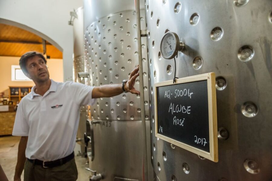 Lisbon Private Setúbal Region Wine Tasting Tour - What the private format is really worth