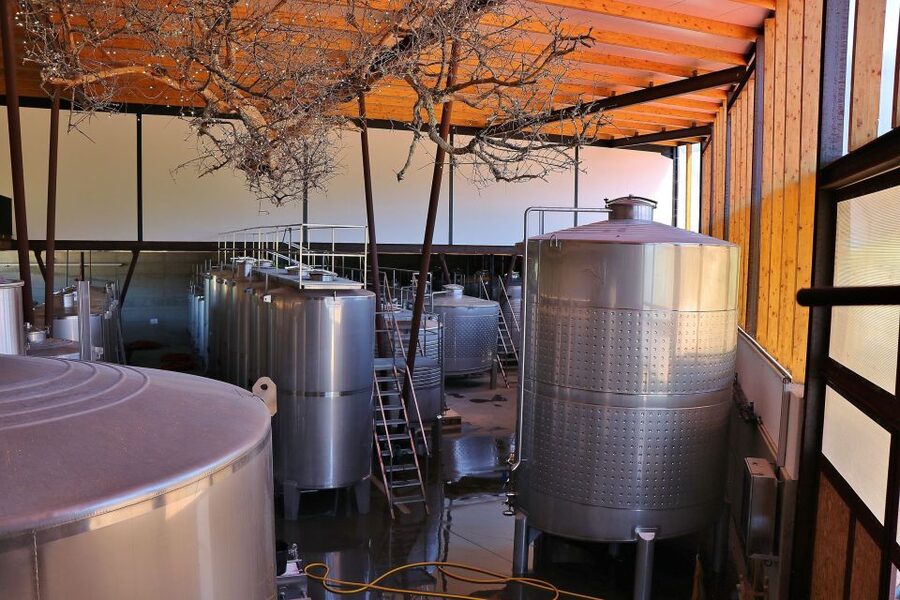Lisbon Private Setúbal Region Wine Tasting Tour - Guides, languages, and the tone of the day