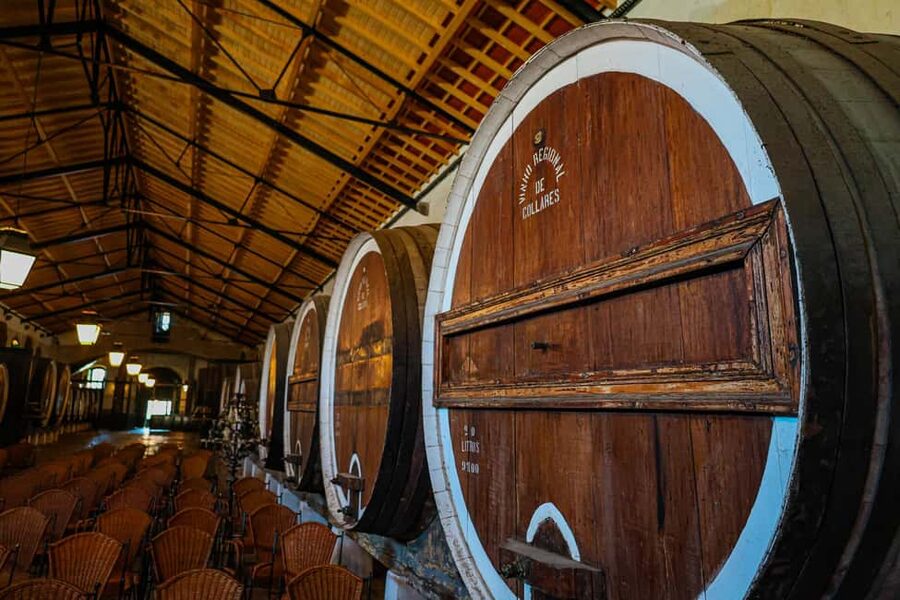 Lisbon: Sintra, Pena Palace & Wine Tasting Small-Group Tour - Guides, languages, and the feel of the day