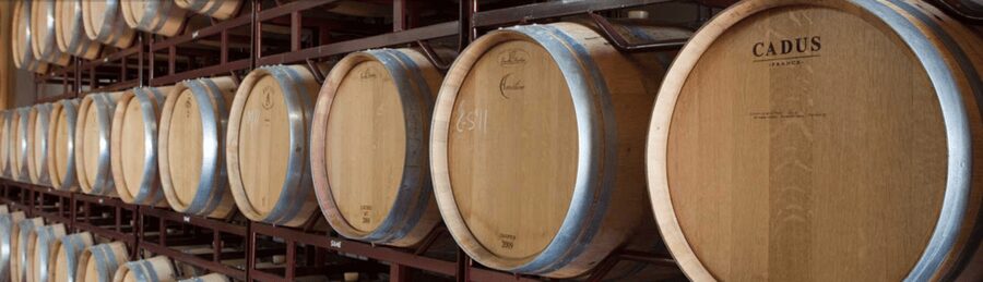 Llucmajor: Bodegas Bordoy Wine Tour - Key points to know before you go