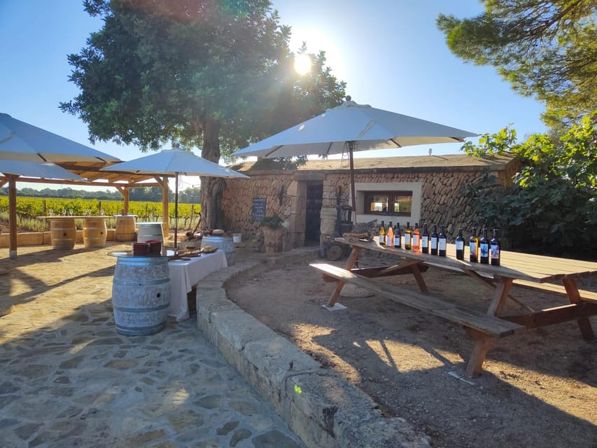 Llucmajor: Bodegas Bordoy Wine Tour - A wine tour with food at its center
