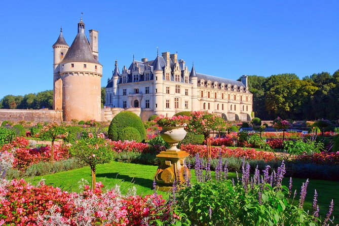 Loire Valley Castles Day Trip from Paris with Complementary Wine - Blois: lunch around Square Louis XII