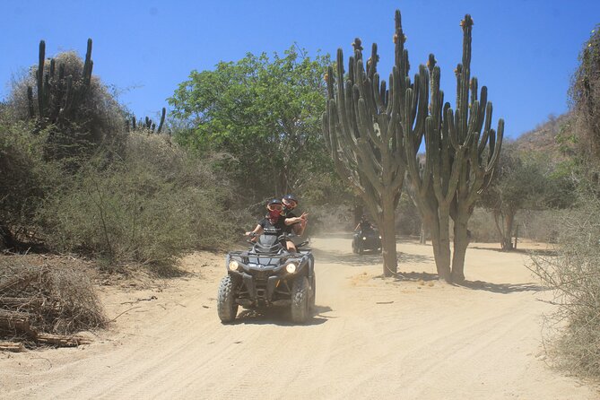 Los Cabos Beach & Desert Tour in Automatic ATV + Tequila Tasting - The price is reasonable only after you count the extras