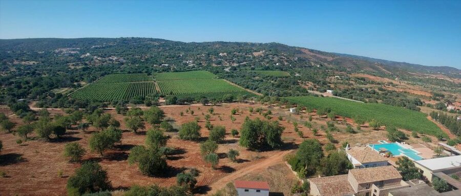 Loulé: Quinta da Tôr Winery Guided Tour and Wine Tasting - The pool and vineyard views